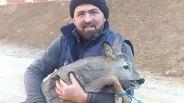 Köpeklerden Kaçarken Balık Havuzuna Düştü, Tesis Sahibi Kurtardı